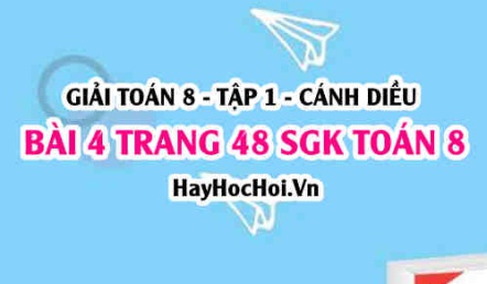 Giải bài 4 trang 48 Toán 8 Tập 1 SGK Cánh Diều